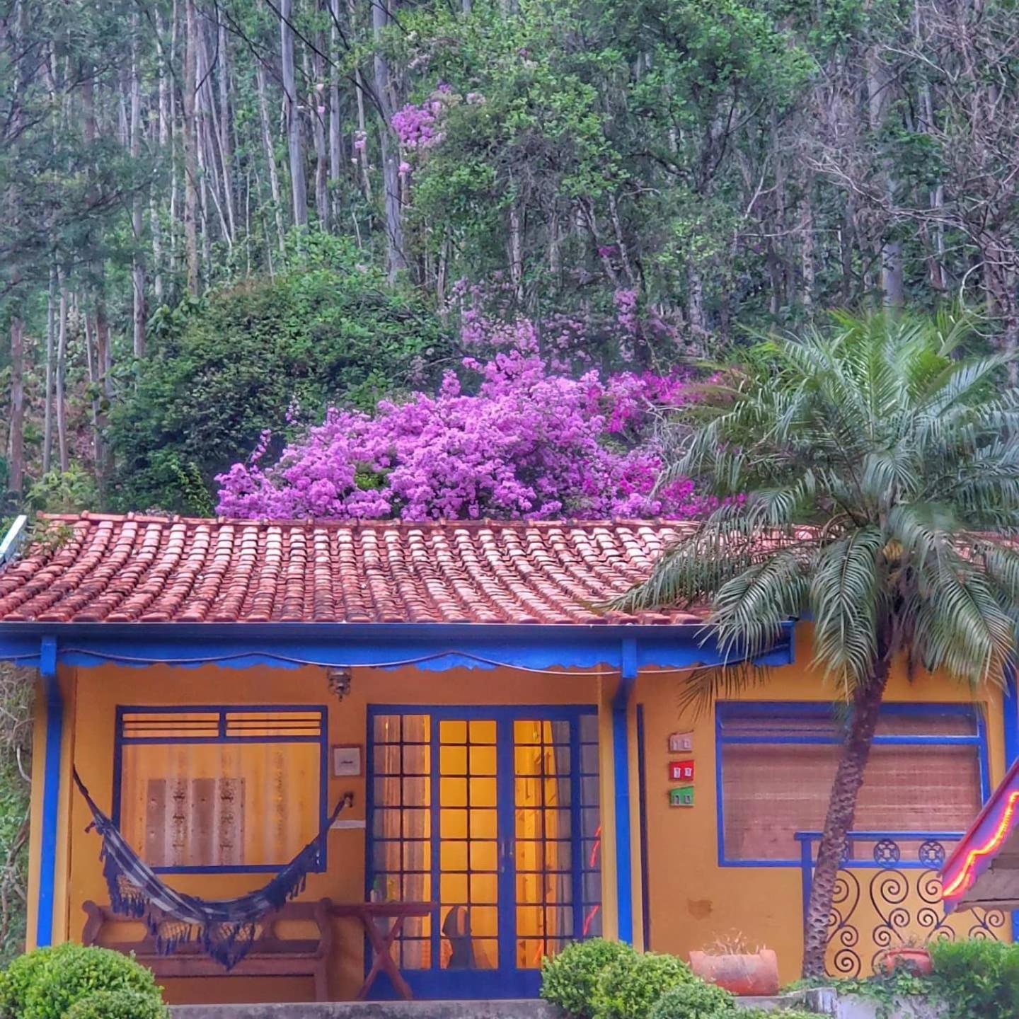 Pousada A Casa Da Fazenda Санту-Антониу-ду-Пиньял Экстерьер фото