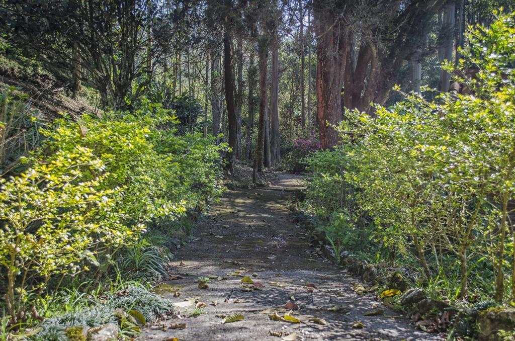 Pousada A Casa Da Fazenda Санту-Антониу-ду-Пиньял Экстерьер фото